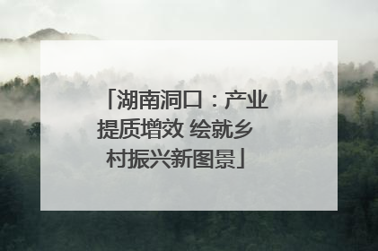 湖南洞口：产业提质增效 绘就乡村振兴新图景