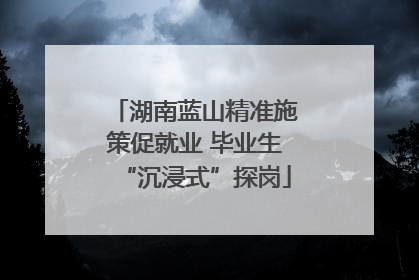 湖南蓝山精准施策促就业 毕业生“沉浸式”探岗