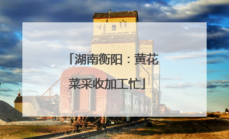 湖南衡阳：黄花菜采收加工忙