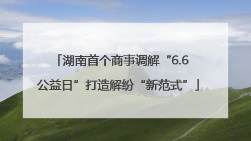 湖南首个商事调解“6.6 公益日”打造解纷“新范式”