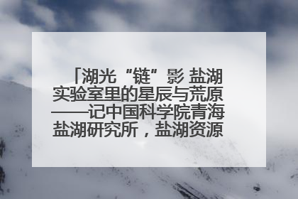 湖光“链”影 盐湖实验室里的星辰与荒原——记中国科学院青海盐湖研究所，盐湖资源化学实验室党总支书记、副主任刘忠