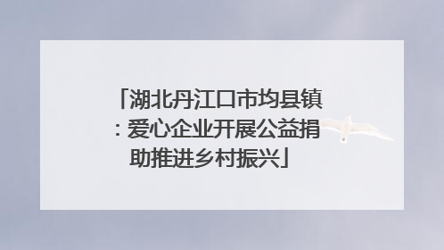 湖北丹江口市均县镇：爱心企业开展公益捐助推进乡村振兴