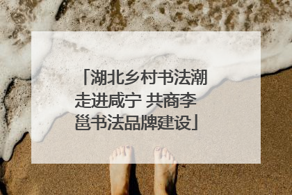 湖北乡村书法潮走进咸宁 共商李邕书法品牌建设