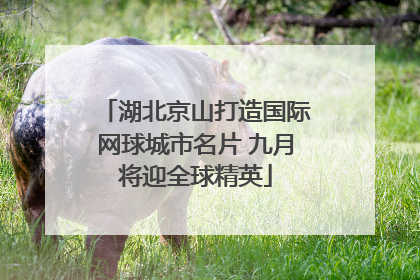 湖北京山打造国际网球城市名片 九月将迎全球精英