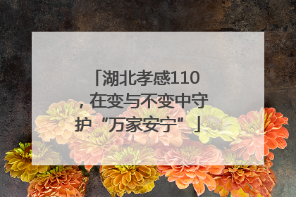 湖北孝感110，在变与不变中守护“万家安宁”