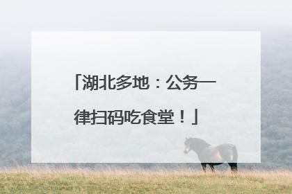 湖北多地：公务一律扫码吃食堂！