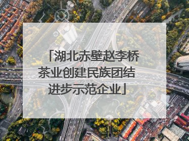 湖北赤壁赵李桥茶业创建民族团结进步示范企业