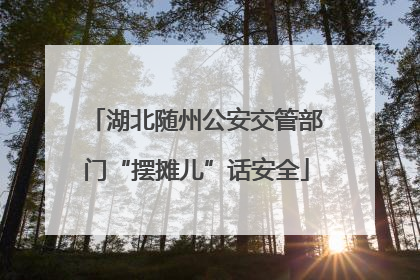 湖北随州公安交管部门“摆摊儿”话安全