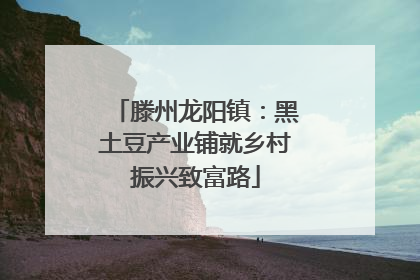 滕州龙阳镇：黑土豆产业铺就乡村振兴致富路