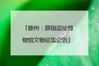 滕州：薛国遗址博物馆文物征集公告