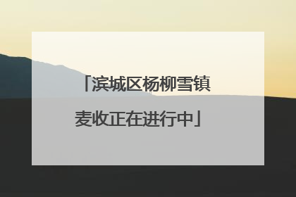 滨城区杨柳雪镇麦收正在进行中