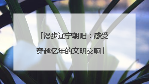 漫步辽宁朝阳：感受穿越亿年的文明交响
