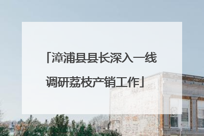 漳浦县县长深入一线调研荔枝产销工作