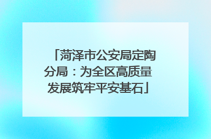 菏泽市公安局定陶分局：为全区高质量发展筑牢平安基石