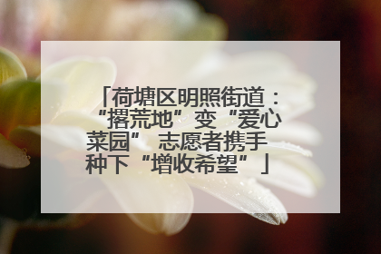 荷塘区明照街道：“撂荒地”变“爱心菜园” 志愿者携手种下“增收希望”