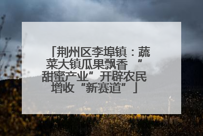 荆州区李埠镇：蔬菜大镇瓜果飘香 “甜蜜产业”开辟农民增收“新赛道”