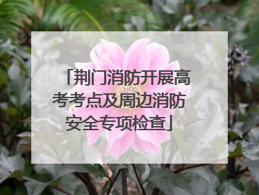 荆门消防开展高考考点及周边消防安全专项检查