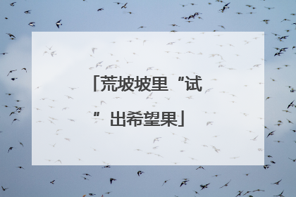 荒坡坡里“试”出希望果