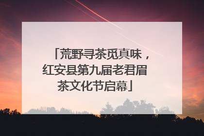 荒野寻茶觅真味，红安县第九届老君眉茶文化节启幕