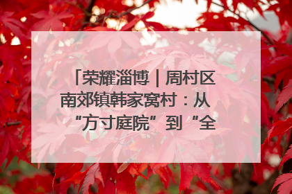 荣耀淄博｜周村区南郊镇韩家窝村：从“方寸庭院”到“全域文明”，乡村振兴的“美学革命”
