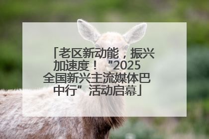 老区新动能，振兴加速度！“2025全国新兴主流媒体巴中行”活动启幕