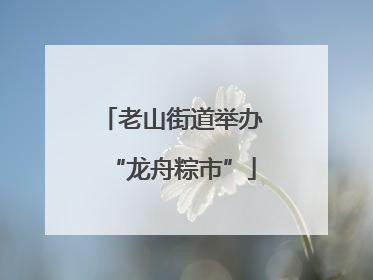 老山街道举办“龙舟粽市”