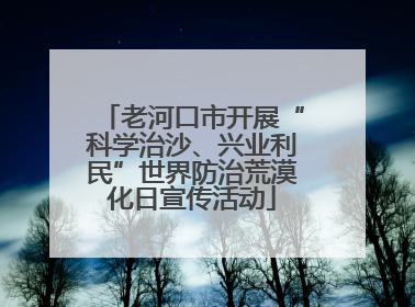 老河口市开展“科学治沙、兴业利民”世界防治荒漠化日宣传活动