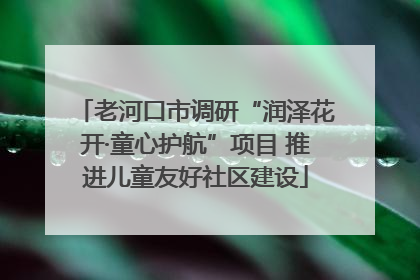 老河口市调研“润泽花开·童心护航”项目 推进儿童友好社区建设