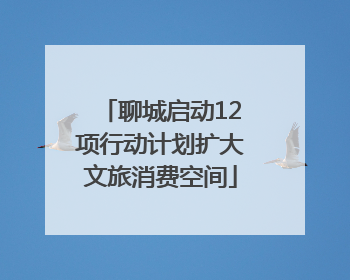 聊城启动12项行动计划扩大文旅消费空间