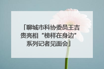 聊城市科协委员王吉贵亮相“榜样在身边”系列记者见面会