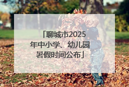 聊城市2025年中小学、幼儿园暑假时间公布