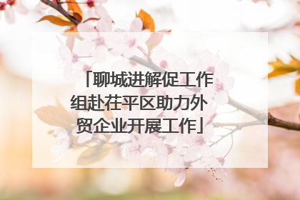 聊城进解促工作组赴茌平区助力外贸企业开展工作