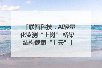 联智科技：AI轻量化监测“上岗” 桥梁结构健康“上云”