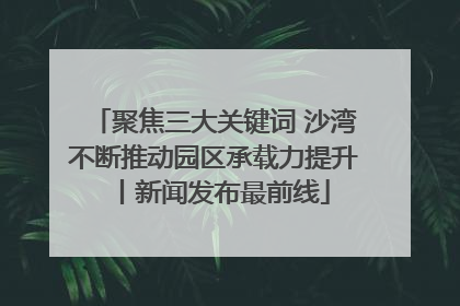 聚焦三大关键词 沙湾不断推动园区承载力提升丨新闻发布最前线