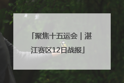 聚焦十五运会｜湛江赛区12日战报