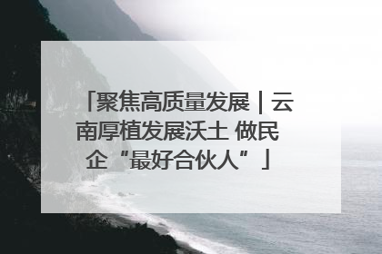 聚焦高质量发展｜云南厚植发展沃土 做民企“最好合伙人”