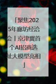 聚焦2025年廊坊经洽会丨京津冀首个AI招商选址大模型亮相