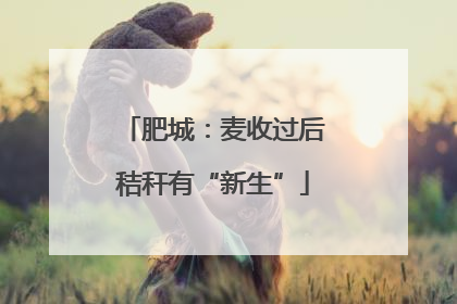 肥城：麦收过后秸秆有“新生”