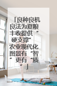 良种良机良法为夏粮丰收提供“硬支撑” 农业现代化图景有“智”更有“质”