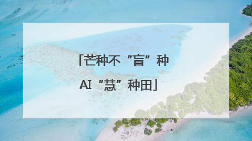 芒种不“盲”种 AI“慧”种田