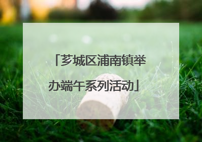芗城区浦南镇举办端午系列活动