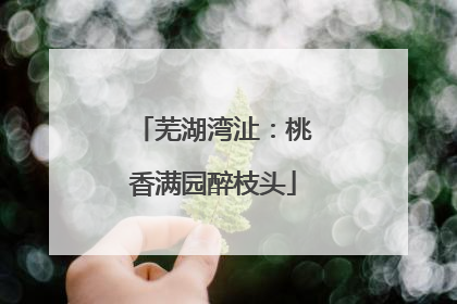 芜湖湾沚：桃香满园醉枝头
