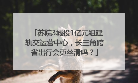 苏皖3城投1亿元组建轨交运营中心，长三角跨省出行会更丝滑吗？