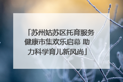 苏州姑苏区托育服务健康市集欢乐启幕 助力科学育儿新风尚