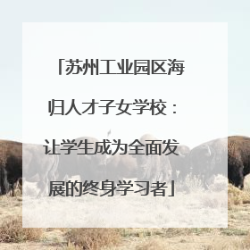 苏州工业园区海归人才子女学校：让学生成为全面发展的终身学习者