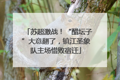 苏超激战！“醋坛子”大意翻了，镇江圣象队主场惜败宿迁