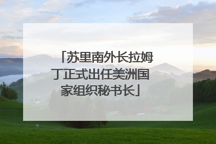 苏里南外长拉姆丁正式出任美洲国家组织秘书长