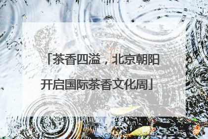 茶香四溢，北京朝阳开启国际茶香文化周