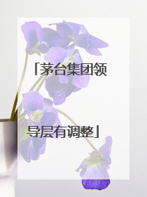 茅台集团领导层有调整