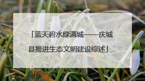 蓝天碧水绿满城——庆城县推进生态文明建设综述